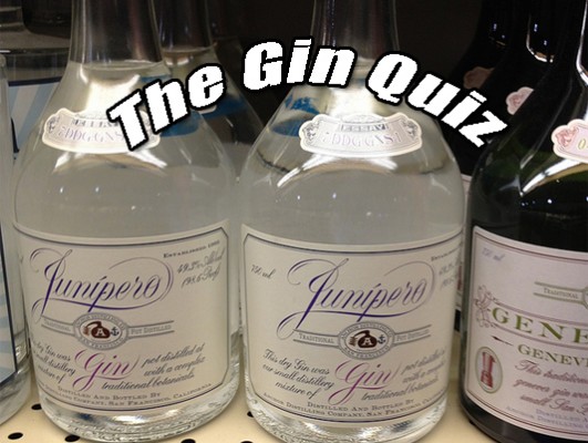 Gin Quiz - Nick Drinks Blog